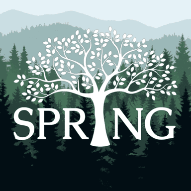 SPRING Group